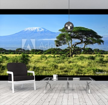 Picture of Mount Kilimanjaro